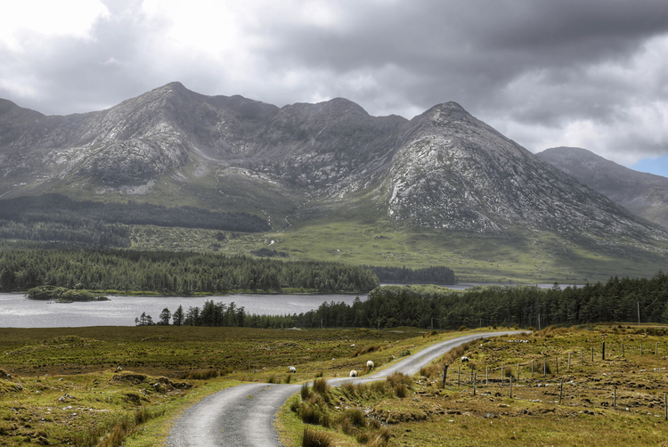 The Galmont Hotel & Spa | | 2