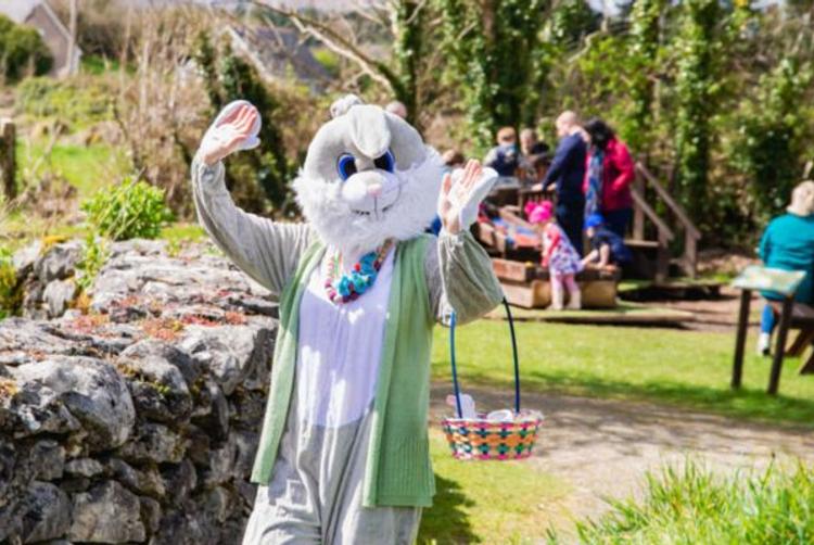 The Galmont Hotel & Spa | | 4