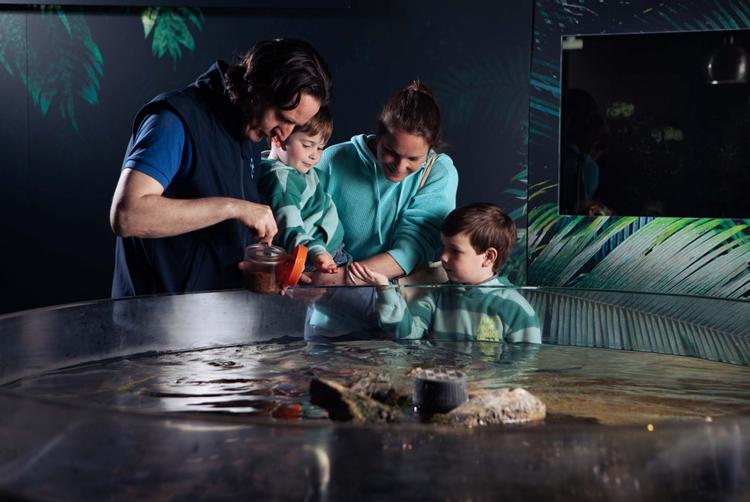 The Galmont Hotel & Spa |  | 4