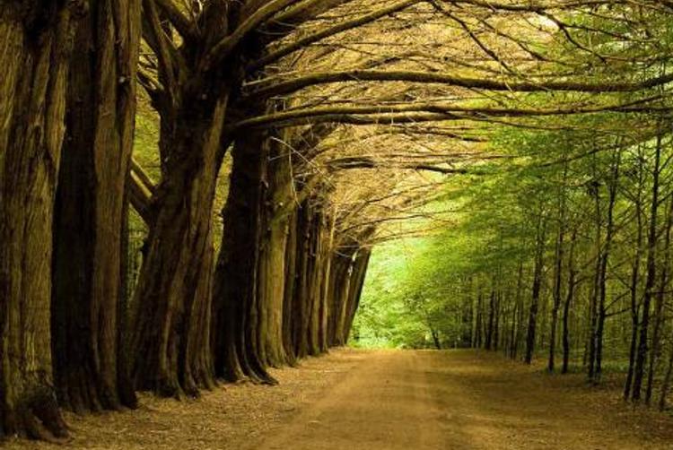 The Galmont Hotel & Spa | | 9