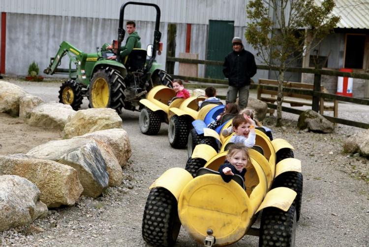 The Galmont Hotel & Spa |  | 9