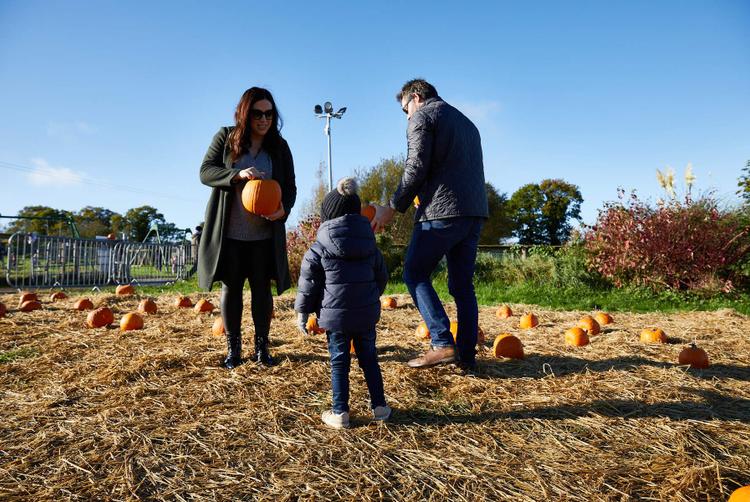 The Galmont Hotel & Spa | | 2