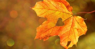 The Galmont Hotel & Spa |  | Autumn Awakens - 20% off Overnight Stays | Autumn Awakens