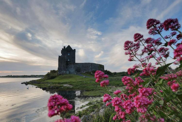 The Galmont Hotel & Spa | | 4