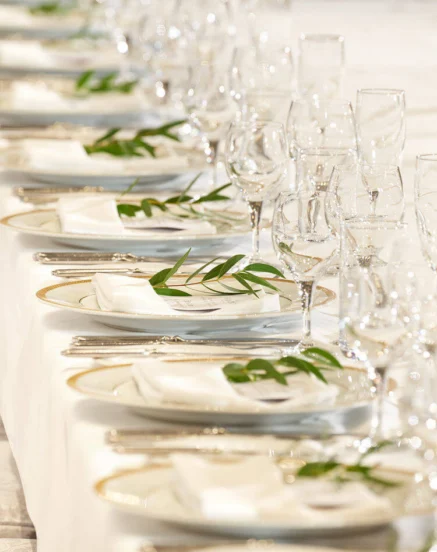 Elegant dining table with white linens, fine china, and green leaf decorations.