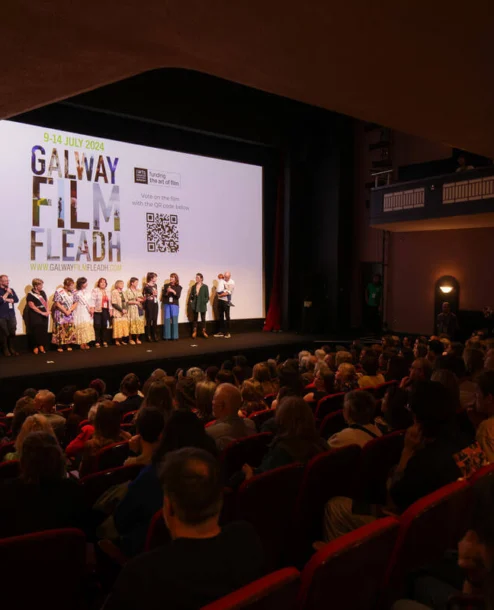 Guests enjoy a film screening at a theatre event, with a lively audience seated.
