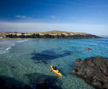 Family kayaking in clear, blue water near a sandy beach on a sunny day.