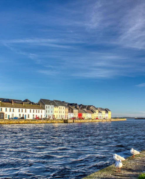 Coastal view with colourful houses and seagulls at The Galmont Hotel & Spa location.