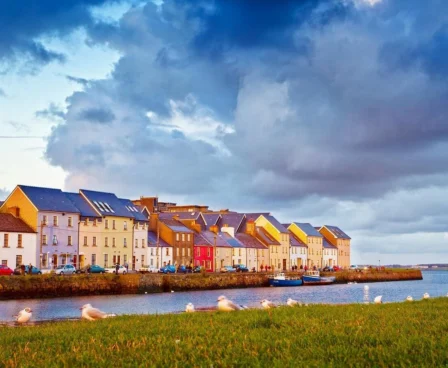 Colourful houses by a waterfront under a dramatic sky, with seagulls in the foreground.