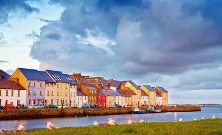 Colourful houses by a waterfront under a dramatic sky, with seagulls in the foreground.