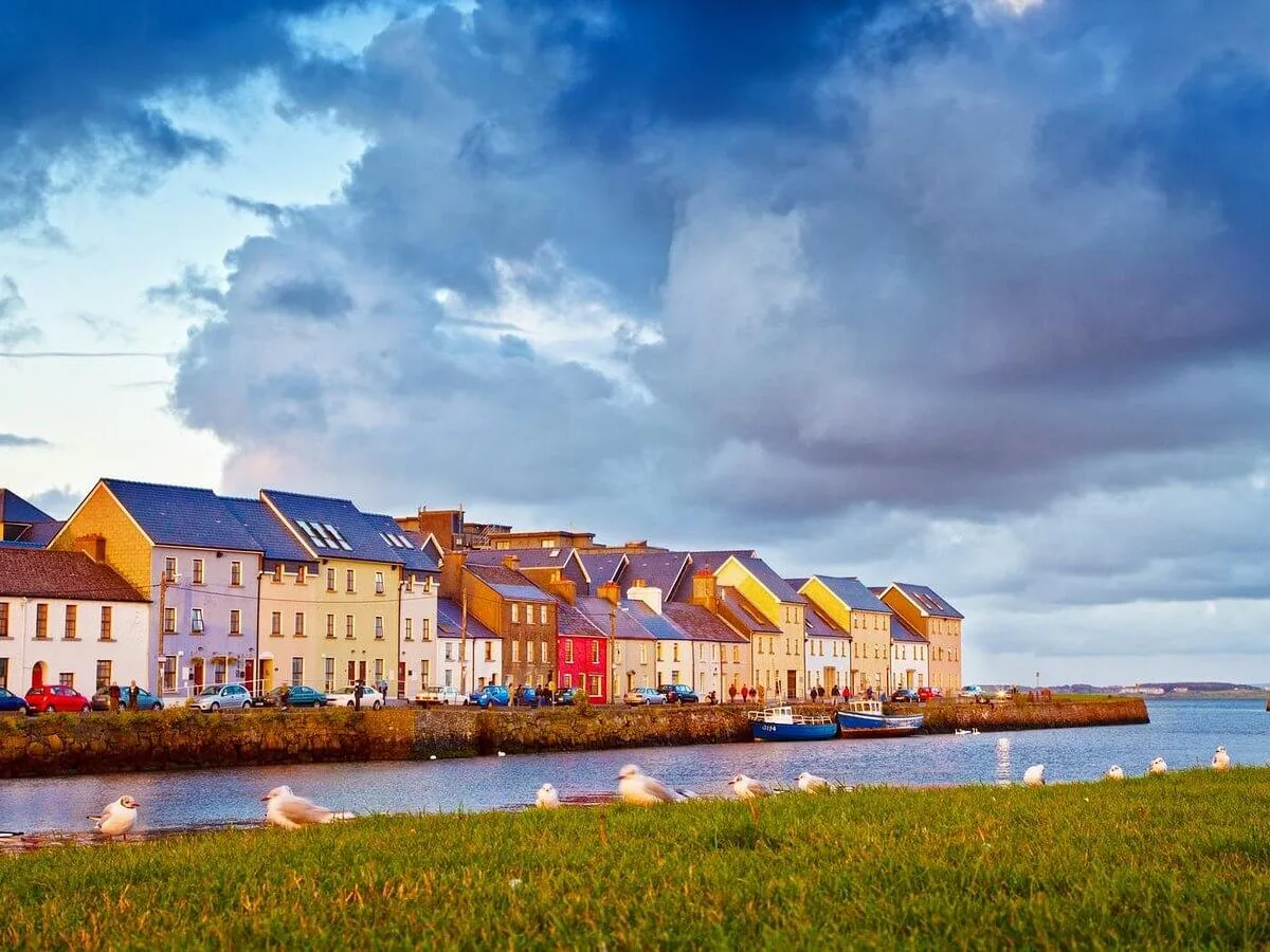 Colourful houses by a waterfront under a dramatic sky, with seagulls in the foreground.