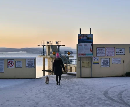 Family dog walk at sunrise on a frosty harbour pier, person in coat and pink hat heading to the diving platform, safety signs visible