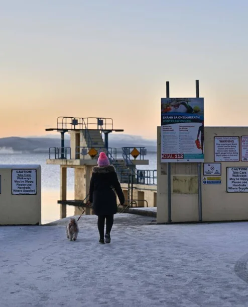 Family dog walk at sunrise on a frosty harbour pier, person in coat and pink hat heading to the diving platform, safety signs visible