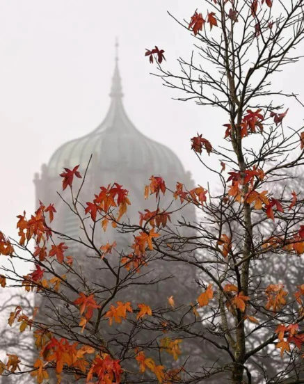Autumn leaves with hotel dome in misty background.